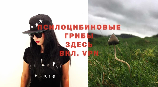 эйфоретик Лихославль
