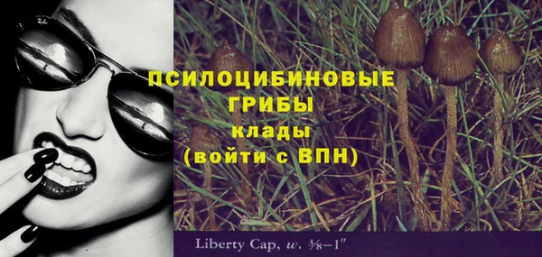 эйфоретик Лихославль