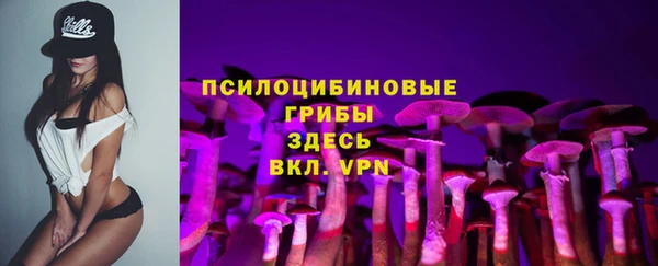 дурь Лагань