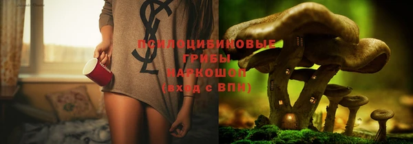 соль ск Лиски